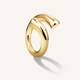 Anillo Abrazo leftcolumn