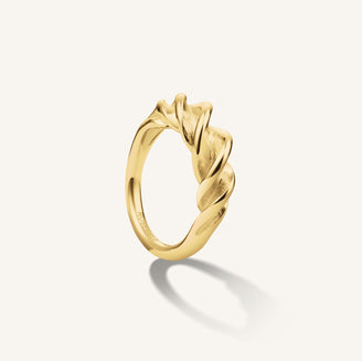 Anillo Espiral leftcolumn