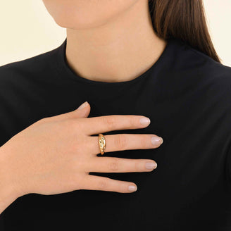 Anillo Cruzado leftcolumn