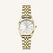 Ace XS Oro