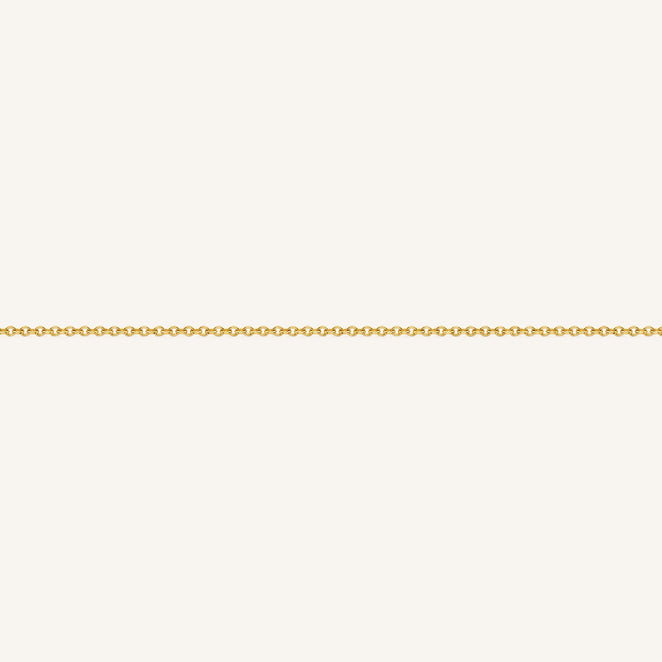 B-Gold-1,leftcolumn