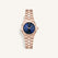 Rose XS Navy